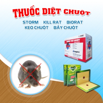 Có thể mua thuốc diệt chuột ở đâu? - cầu nối